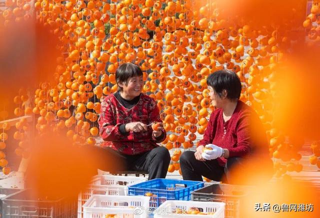 秋天的潍坊，是谁惊艳你的朋友圈？