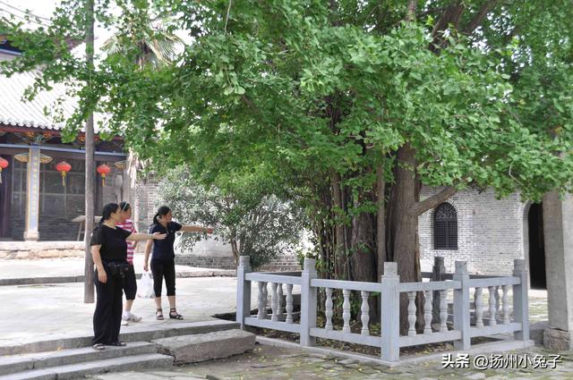 能想到吗？大大的文庙与宝物众多的博物馆，这里都有！