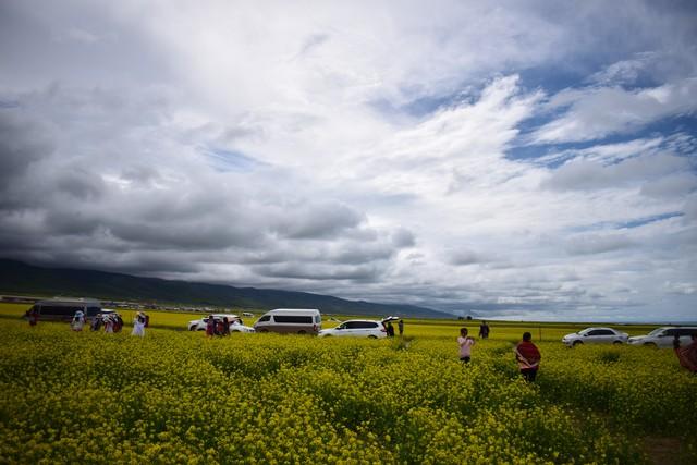 退休自驾十五年：风景会褪色，记忆永远鲜活