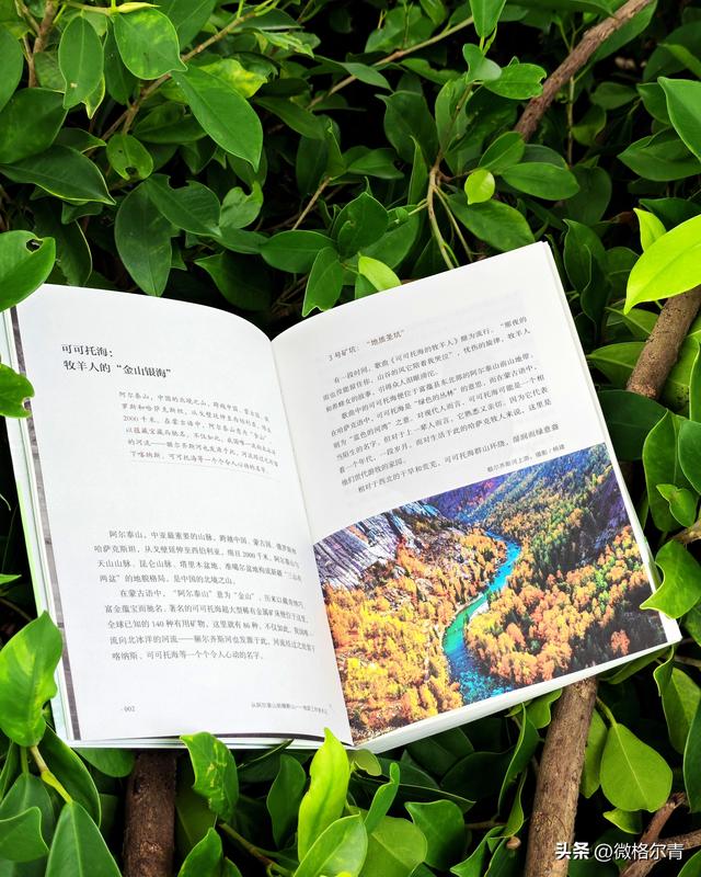 跨越山海，奔赴壮丽多姿的西部世界