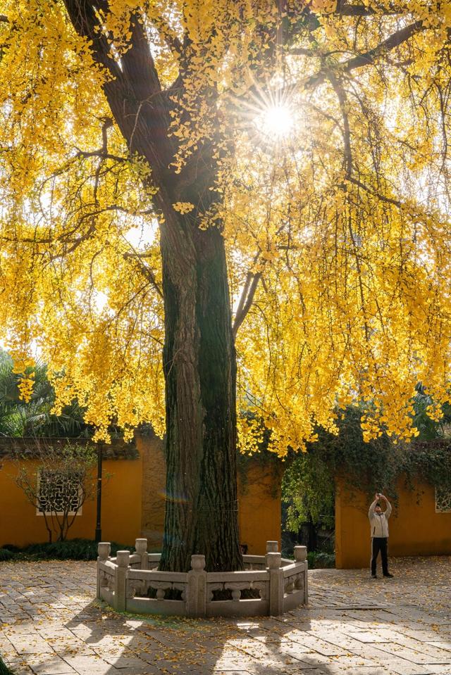 从百年古刹到水上森林：解锁上方山秋冬宝藏打卡地