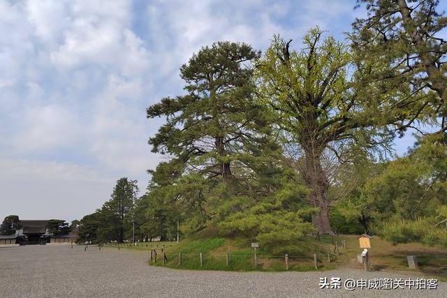 日本京都：漫步京都御苑公园