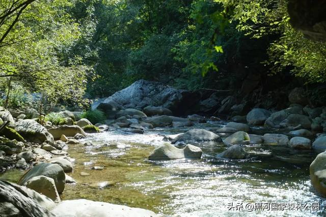 清风带凉意，最美是初秋，一键解锁黑河山水间的治愈美景！