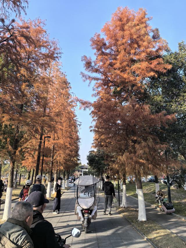 南京老山郊野一日徒步，从狮子岭兜率寺到汤泉惠济寺