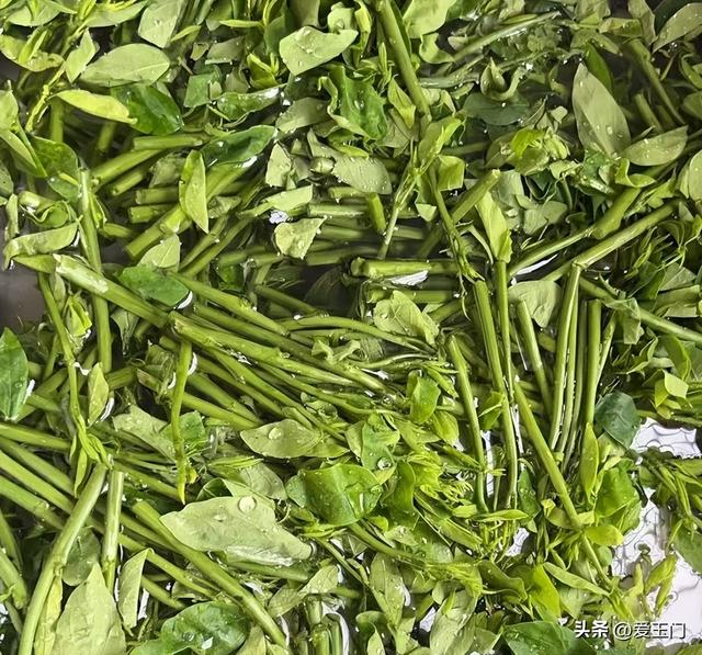 冬至过后使劲吃，一清肝排毒	、二助眠、三护眼	，清新脆嫩，别错过