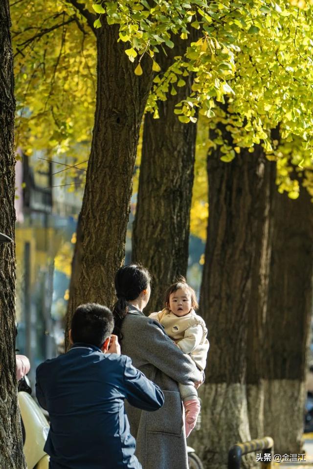 在“杏”福满满的大南街！这样拍超出片