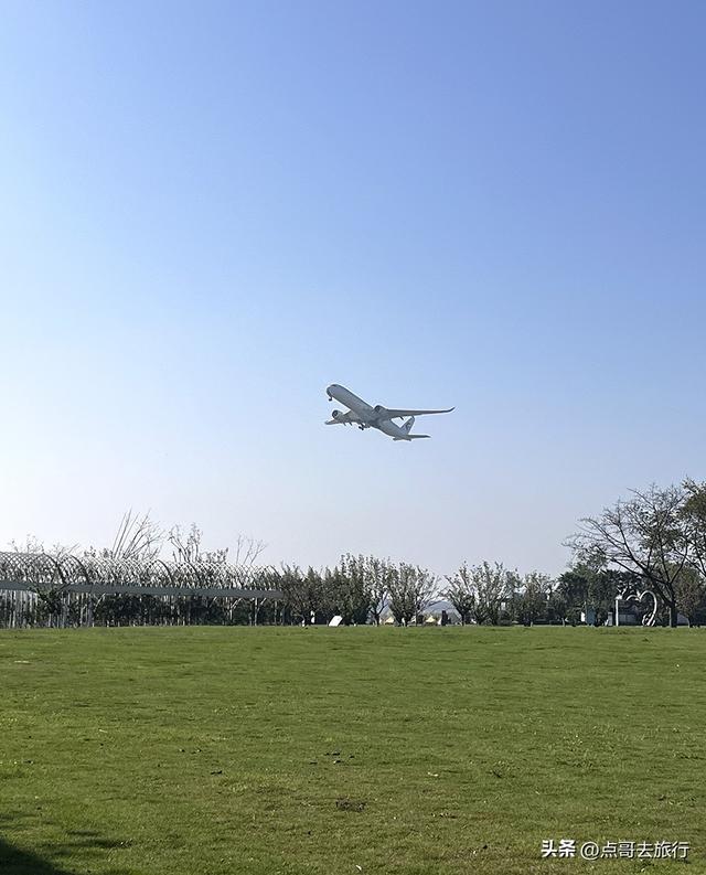 成都蔷薇花开爆了，免费才是最美，花墙瀑布很惊艳，太适合拍照！