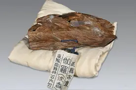 沉香到底是什么？沉香为什么那么贵？图片