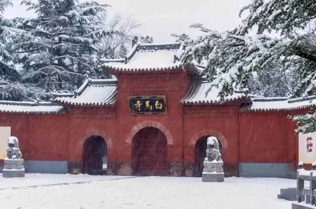 新年第一站,我先冲了!