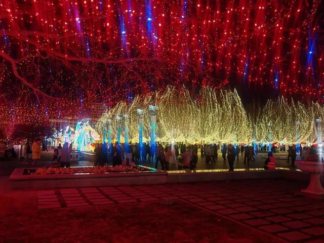 【2026新春走基层】元宵节压轴大戏！第二十九届杨柳青灯展赏灯攻略来啦！