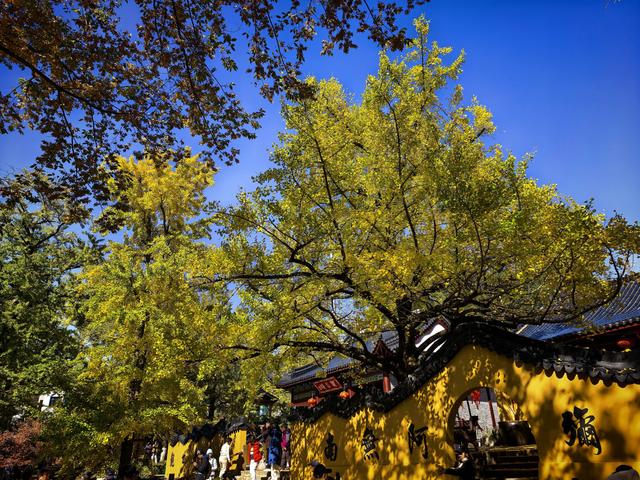 徒步八都岕黄金大道