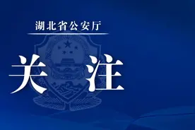 “警车可由所在单位辅警驾驶”公安部公开征求意见！图片