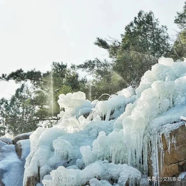 这些人，长期免票！神龙大峡谷、冰瀑奇观、“拍马屁”互动点……超多精彩等你来