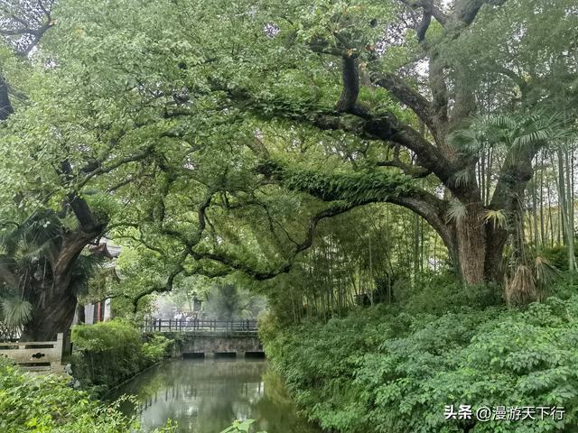 丽水古堰画乡景区没有想象中的那么优秀，去不去皆遗憾