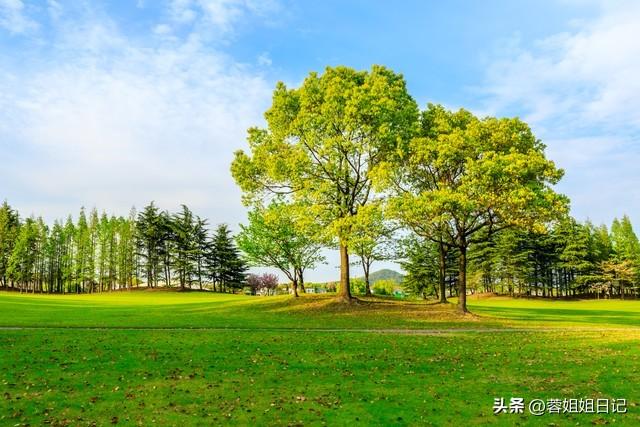 散文:看人间美景，五月历历
