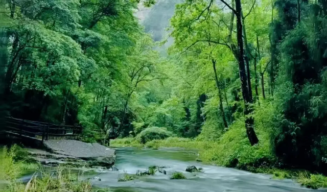 三千奇峰张家界，一步一景皆是诗