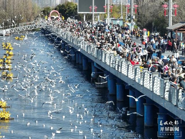 鸥！来了！“鸥”遇线路提前收藏→