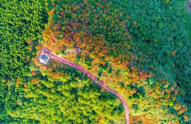 这周末就去！金堂这条徒步线路爆火！