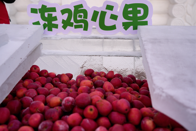 内蒙古冰雪英雄会额尔古纳冰雪欢乐季第三届中俄界河冰钓活动，冰雪盛宴启幕图集