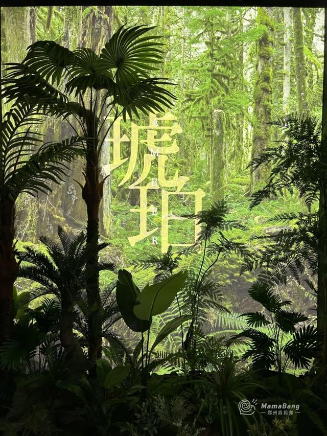 出郑州，开学前还能玩什么？这几个展览免预约，又凉快！