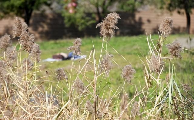 西安大明宫里邂逅初冬暖阳