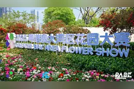 深圳“顶流花展”来啦！图片