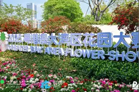 深圳“顶流花展”来啦！图片