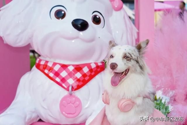 4天30万客流！快来打卡中牟“第九大乐园”
