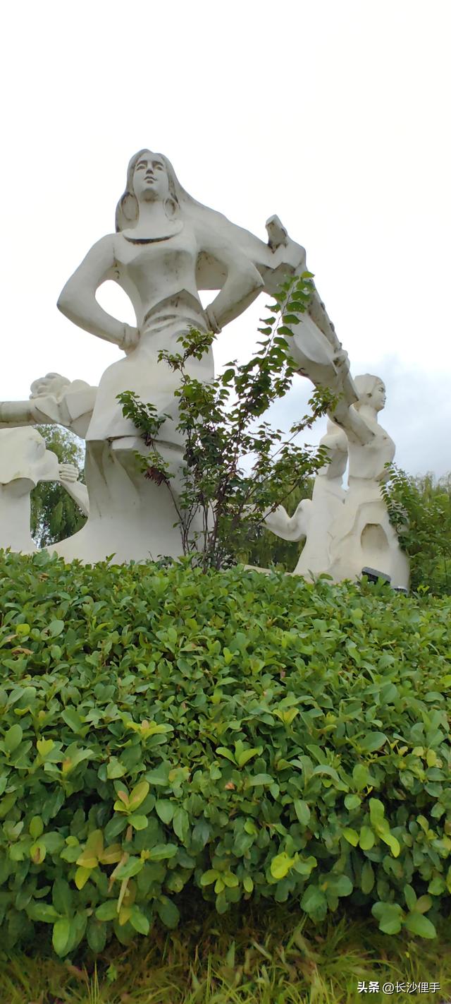柴米油盐调味诗与远方，抚仙湖那一抹红