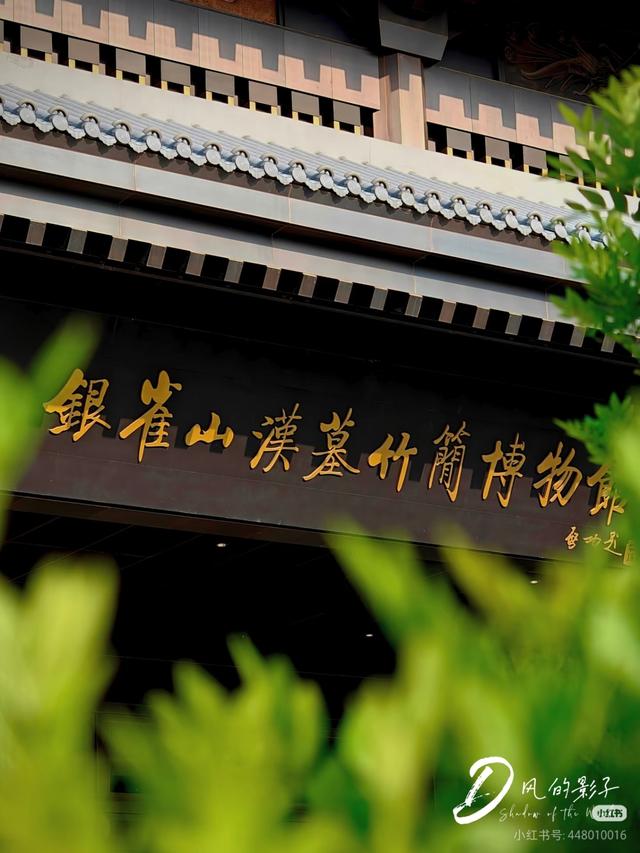 国庆邀约丨邂逅临沂，共赴一场金秋的红色与浪漫之约！