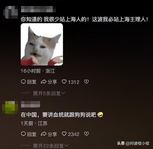 踢到铁板！印度高种姓游上海，觉得自己很厉害，其实啥也不是