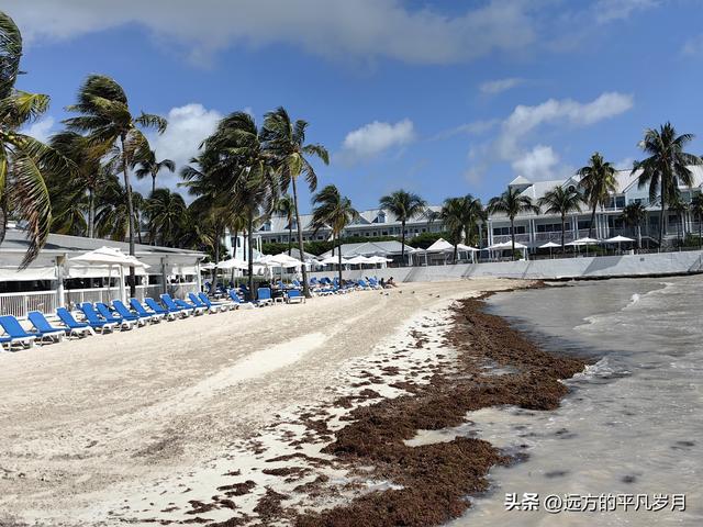 美国最南端的文艺小岛Key West(迈阿密游记四）