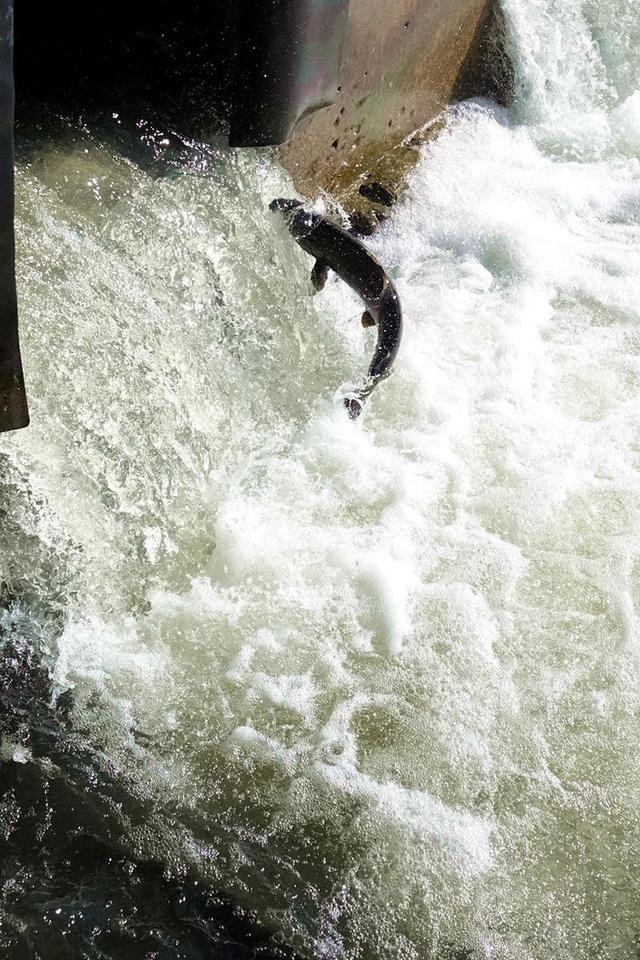 去北美洲加拿大和古巴的旅程