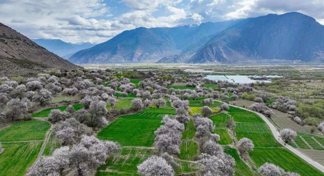 排队2小时，互动1分钟，年轻人“爱上”景区NPC