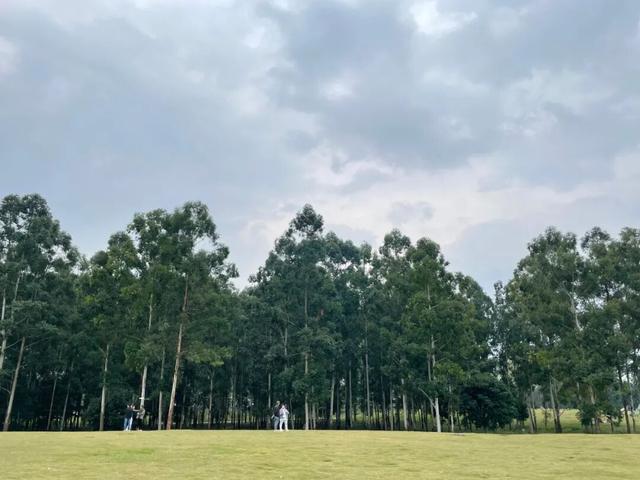 成都出发最快0.5h，山林湖岛间露营烧烤，野趣又好玩！
