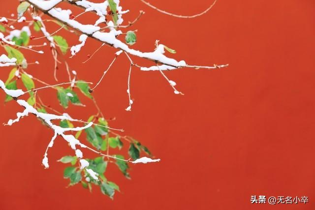 救命啊！原来北方的秋天这么美，请原谅我一副没见过世面的样子