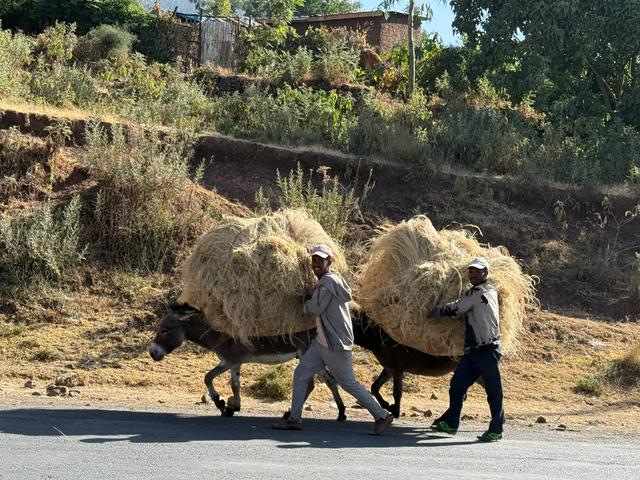 【联合国特别大师】人类祖先露西与世界选美