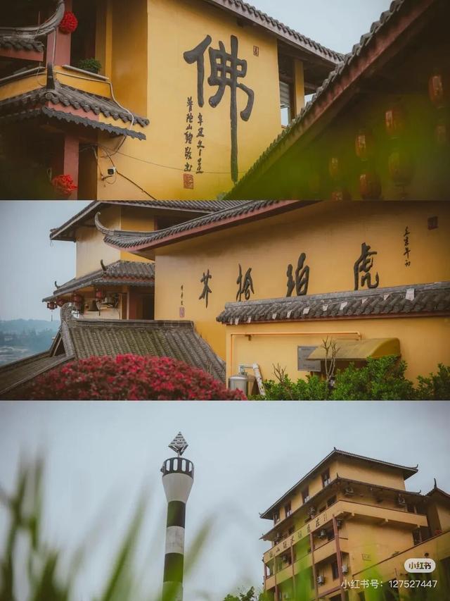 爆火！高铁1.5h！好吃不输乐山，安逸不差成都！这座火遍全国的川南小城是时候被挖掘！