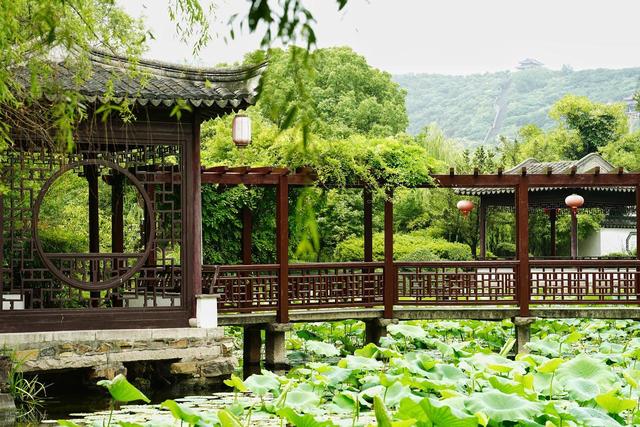 这座我去了又去的江南小城，魅力实在太大了