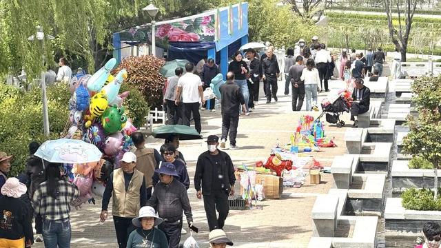 【三秦四季 花样铜川】人间四月芳菲尽 铜川牡丹始盛开