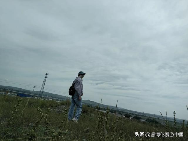 寻找谷力脑包
