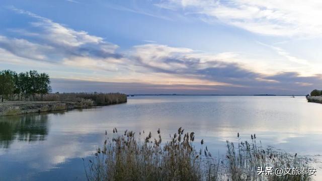 解锁「美拉德」色系！东平的秋天是懂氛围感的，朋友圈晒这些图绝对赢麻！