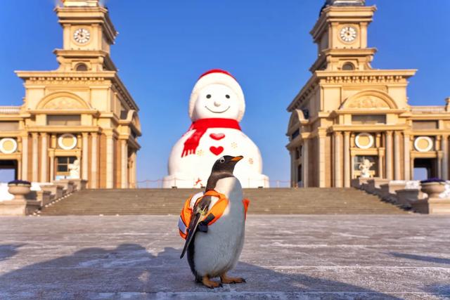 全城见企鹅！ 最大规模“淘学企鹅冰雪巡游”11月15日全城开启！