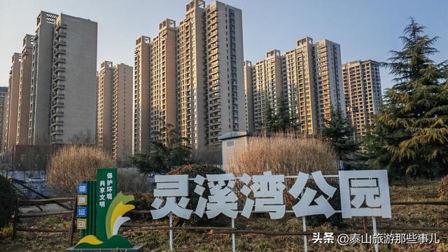 泰安：城东有一个公园，一场40分钟的闲逛，竟找到让人动容的瞬间