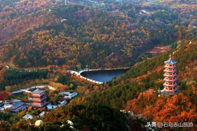 赤山红叶记：山海之间的秋日三重奏