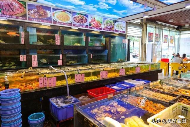 反向旅游，你不知道深圳的海有多绝