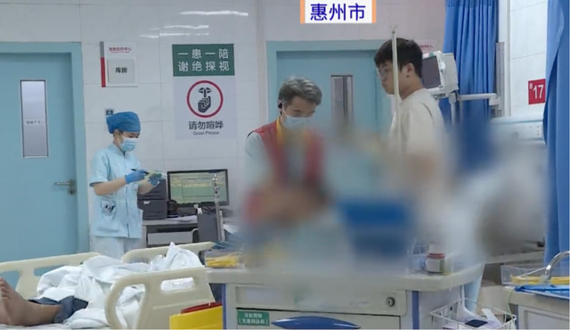 深圳一市民突遭马蜂围袭！已进入高发期，千万别招惹！