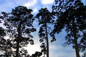 长白山惊现“藏宝洞”，专家估值达万亿日本得知后要求中国归还图片