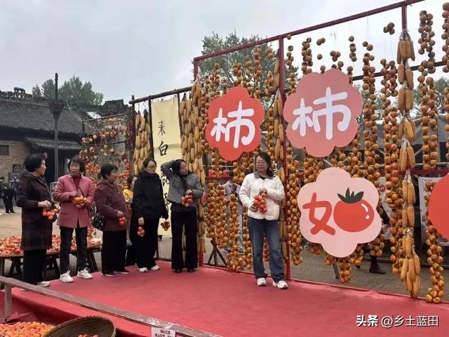 王博||蓝田白鹿原影视城“关中柿界寻秋季”暖心启幕