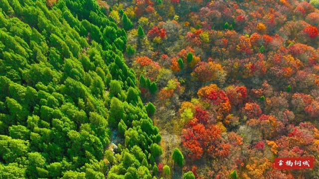来九龙山，品尝咱钢城深秋的“鸳鸯火锅”
